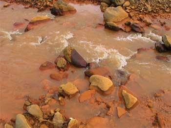 什么是化学性污染？常见的化学性污染物有哪些？