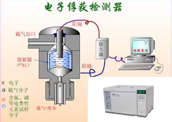 电子捕获检测器的工作原理是什么？